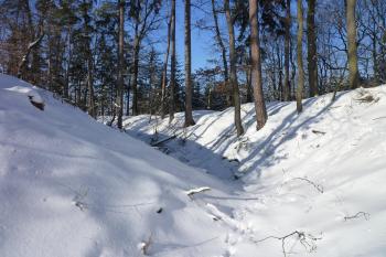 Příkop na jihovýchodní straně. (© MICHAL VAŠATA, 01/2010)