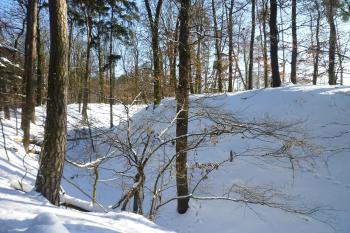 Pohled ze severu-vlevo příkop a val ,vpravo jádro. (© MICHAL VAŠATA, 01/2010)