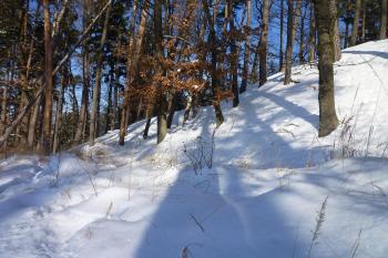 Na strmé západní straně není takřka žádné opevnění. (© MICHAL VAŠATA, 01/2010)