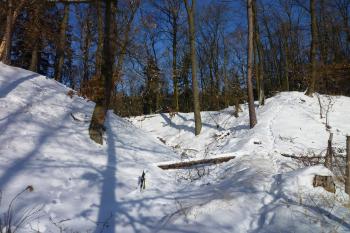 Pohled z jižní strany-příkop a val ,vlevo jádro. (© MICHAL VAŠATA, 01/2010)