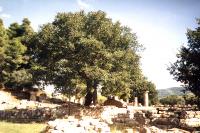 zříceniny antické Olympie
