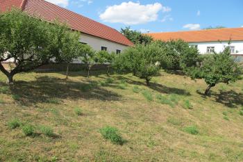 Tvrz č.1 - Hluboký příkop na východě. Pohled od jihu. (© Dušan Dohňanský 07/2019)