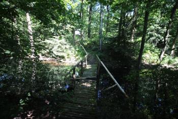 chatrný most přes zatopený příkop (© Luděk Vláčil 07/2020)