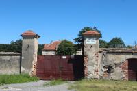 Błotnica