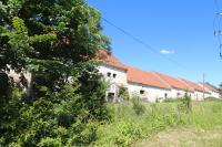 Błotnica