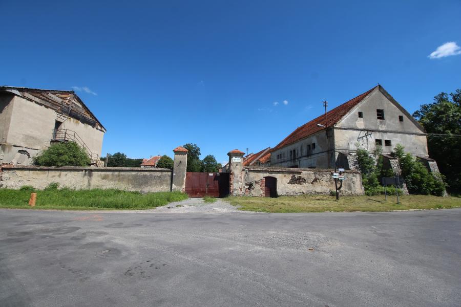 Błotnica
