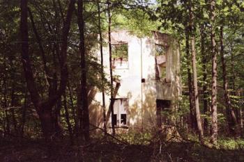  (©2003 Jiří Čížek)
