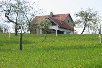 Jv. mírný svah tvrziště. Jádro je vlevo od čp.121 (© Dušan Dohňanský 04/2019)