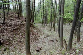 Příkopy (©2003 Jiří Čížek)