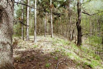 Horní plošina tvrze (©2003 Jiří Čížek)
