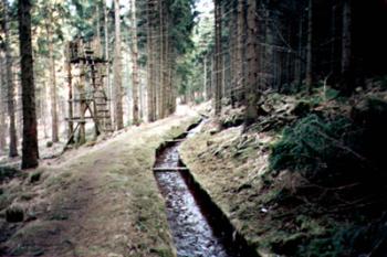  (2003 © Seyček)