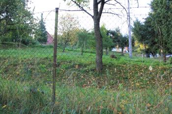 Pohled z příkopu směrem od hradiska (© Luděk Vláčil 08/2020)