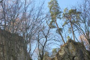  (© Luděk Vláčil, 10.11.2013)