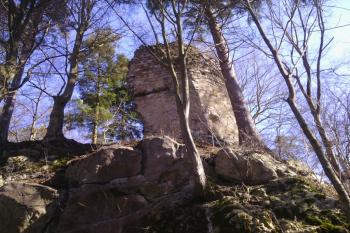 Zaoblený střep hradby zvnějšku se zbytky omítky (© Jan Večeřa, 03/2015)