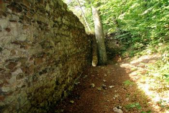 Zbytky zdí ( © Jiří Čížek 7/2006)