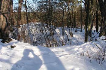 Zbytky paláce ( © Roman Řezáč 03/2004)