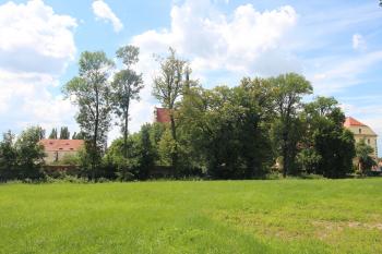  (© Luděk Vláčil 07/2020)