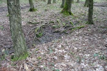 Prameniště Hejnického potoka.Západněji od nej se lokalit nachází (© Dušan Dohňanský 04/2016)