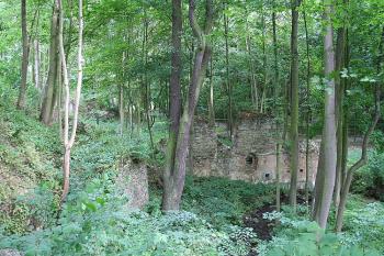 Zříceniny hospodářských budov (mlýn?, pivovar?) v údolí mezi hradem a zámkem (© Ivan Grisa, 08/2008)