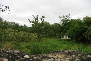 Bývalá dvorní zahrada s možnými zbytky příkopu a valu (© Dušan Dohňanský 09/2014)