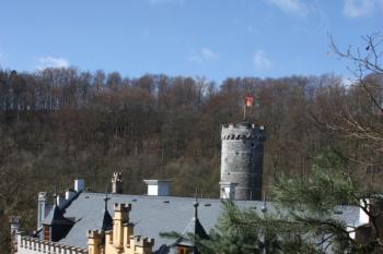 Hrad z arboreta ( © Ivan Grisa 04/2011)
