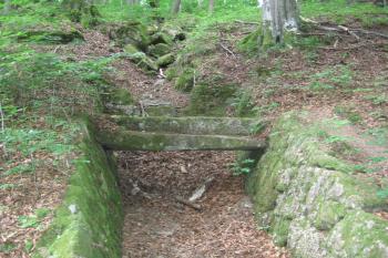 starý opatský kanál (© Marcela Váňová 08/2011)
