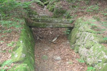 starý opatský kanál (© Marcela Váňová 08/2011)