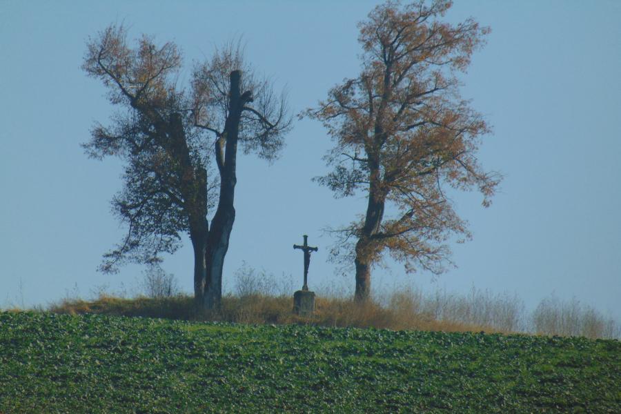 Rájec nad Svitavou