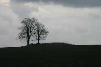 Pohled od jz. (© Dušan Dohňanský 03/2014)