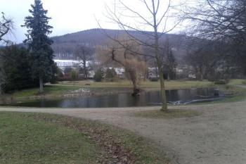 Zámecký park ( © Ivo Rozehnal 03/2020)