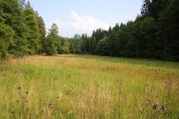 Mrázkova louka (© Josef Kašpar  07/2012)