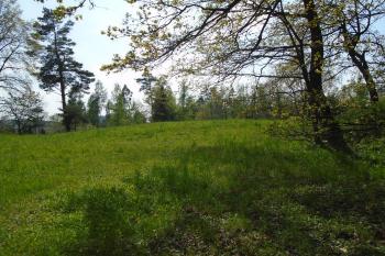 plocha 1. předhradí (© Jaroslav Špiroch  05/2023)