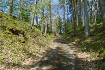 cesta od Římova, směřující do střední části hradiště, tzv. 2.předhradí (© Jaroslav Špiroch  05/2023)
