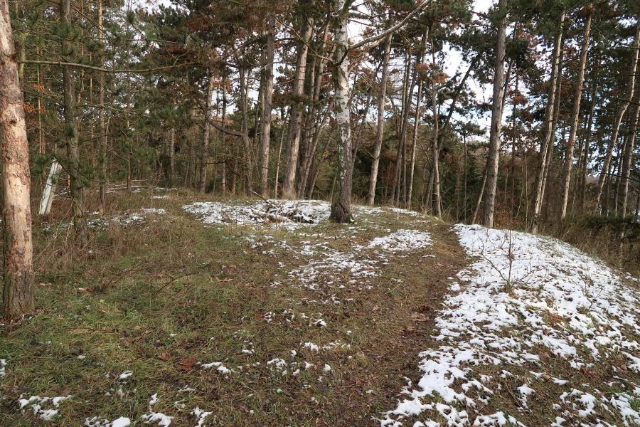 Čertovka