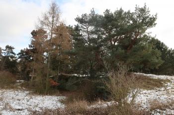  (© Prudký Martin 01/2021)