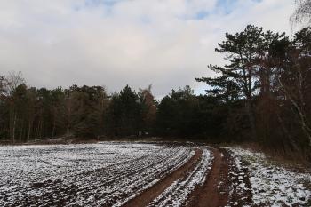 Pohled na sídliště od západu (© Prudký Martin 01/2021)