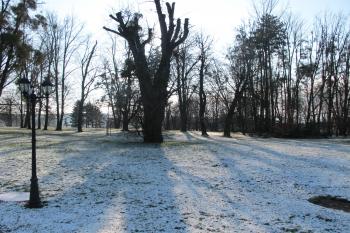 Zámecký park (© Dušan Dohňanský 01/2018)