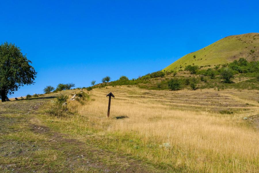 Raná