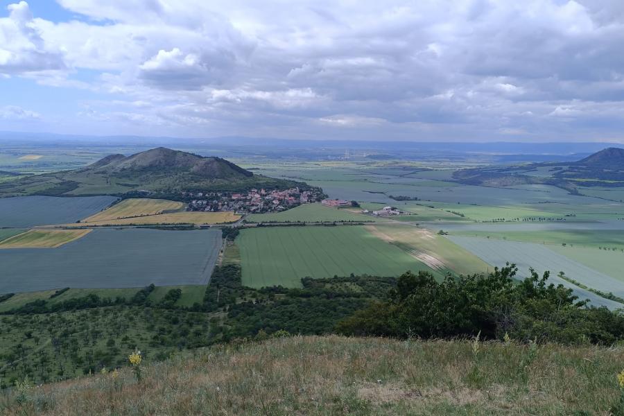  Raná