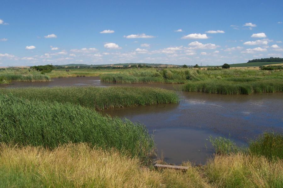 Kobylské jezero