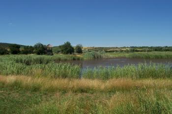 Biocentrum Ostrůvek (© Ivo Rozehnal  07/2021)