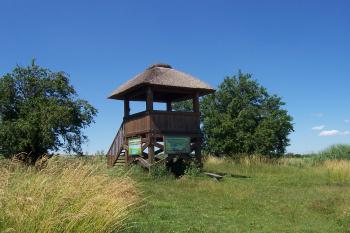 Ptačí pozorovatelna (© Ivo Rozehnal  07/2021)