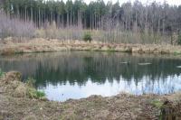 Střítež