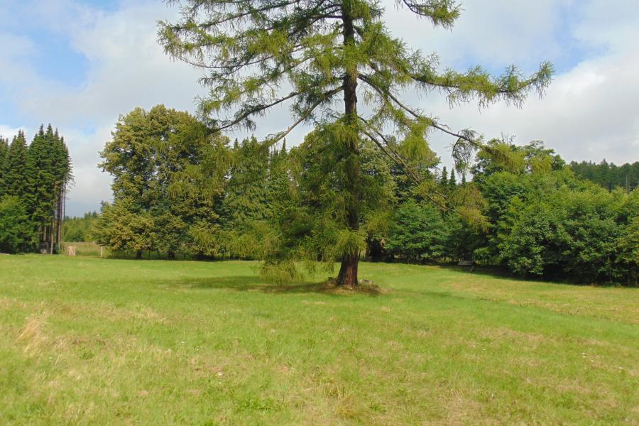 Střítež