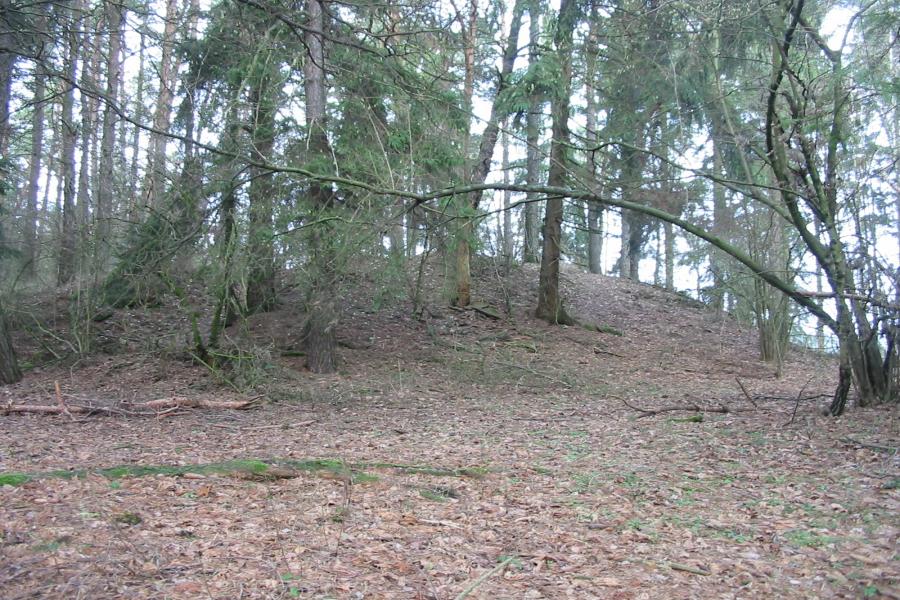 Vlčatín