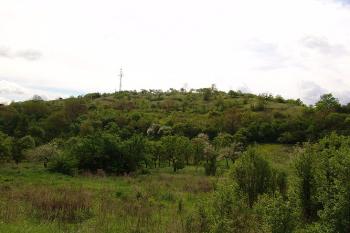 Pohled z obce, vpravo od stožáru stál hrad ( © Roman Řezáč 05/2005)