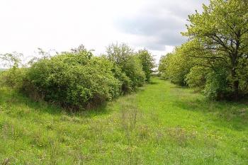 Východní příkop ( © Roman Řezáč 05/2005)