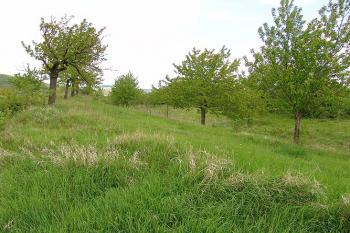 Vnější val na západní straně ( © Roman Řezáč 05/2005)