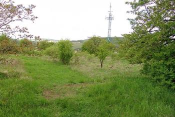 Dnešní stav jádra ( © Roman Řezáč 05/2005)