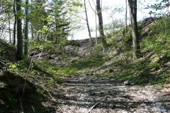 čelní příkop před předhradím ( © Jan P. Štěpánek 05/2011)